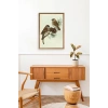 Kuş Ahşap Çerçeveli Tablo 30 x 42