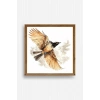 Kuş Ahşap Çerçeveli Tablo 50 x 50