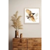 Kuş Ahşap Çerçeveli Tablo 50 x 50
