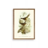 Kuşlar Ahşap Çerçeveli Tablo 23 x 30