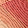 La Mia Tale Ebruli Hand Knitting Yarn - LM126