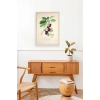 Meyveler Ahşap Çerçeveli Tablo 17 x 23