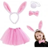 Pink Rabbit Crown Skirt Bow Tie Tail Costume Set Child Size