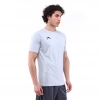 Teamswear Basic T-Shirt SIRCA GRİ