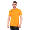 Teamswear Basic T-Shirt SIRCA ORANJ