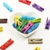 Renkli Ahşap Mandal Seti 2.5 Cm 100lü