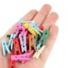 Renkli Ahşap Mandal Seti 2.5 Cm 100lü