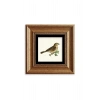 Serçe Çerçeveli Taş Tablo 20 cm