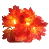 Autumn-Themed Decorative Leaf Patterned Strip LED Night Lamp (5365)