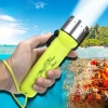 Super Bright LED Underwater Diving Flashlight – Portable, Waterproof and Shockproof Flashlight (5365)