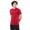 Teamswear Basic T-Shirt SIRCA BORDO