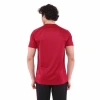 Teamswear Basic T-Shirt SIRCA BORDO