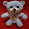 Tişörtlü Peluş 25 Cm Özel Gün Hediyesi