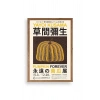 Yayoi Kusama Ahşap Çerçeveli Tablo 30 x 42