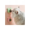 Yengeç Kedi Otu Oyun Topu