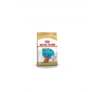 ROYAL CANIN POODLE PUPPY 3 KG