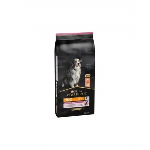 PRO PLAN DOG SENİOR SOMON 14 KG