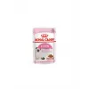ROYAL CANIN KITTEN GRAVY 85 GR