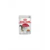 ROYAL CANIN INSTINCTIVE JELLY 85 GR