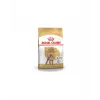 ROYAL CANIN POODLE ADULT 3 KG