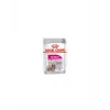 ROYAL CANIN DOG MINI EXIGENT 85 GR