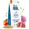 BRİT CARE ADULT LARGE BREED LAMB HYPOALLERGENIC 12 KG