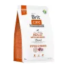 BRİT CARE ADULT MEDIUM LAMB HYPOALLERGENIC 3 KG