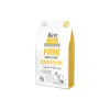 BRİT CARE ADULT MİNİ HAIR & SKIN GRAİN FREE SALMON 2 KG