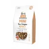 BRİT CARE ADULT MİNİ TURKEY & SHRIMP GRAİN FREE 2 KG