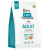 BRİT CARE ADULT SALMON GRAIN FREE 3 KG