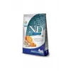 N&D PRİME OCEAN RİNGA BALIK & PORTAKAL ADULT MİNİ 2,5 KG