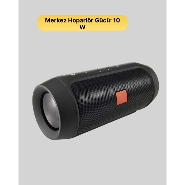 20W Güçlü Ses Bluetooth Hoparlör Dahili Batarya Suya Dayanıklı