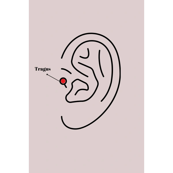 316L Çelik Gümüş Renk Beyaz Minelik Kalp Sallantı Zirkon Taş Detay Tragus Piercing