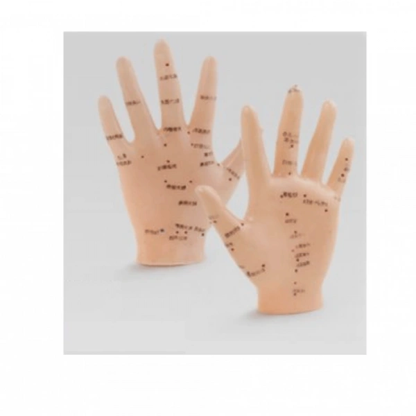 Akupunktur EL Maketi