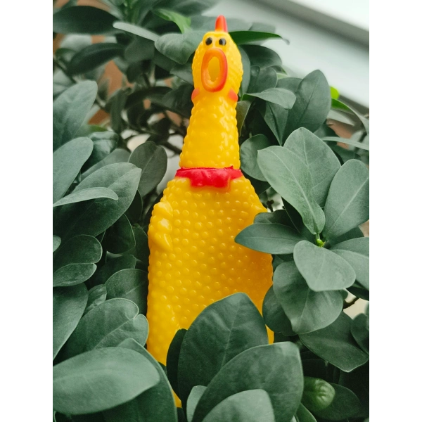 Büyük Petzoom Pet Park Köpek Tuvalet Eğitim Seti – Evcil Dostunuz İçin Hijyenik Çözüm 1 Adet Çığlık Atan Ördek 1 Adet Yıkanabilir Rulo Hediye