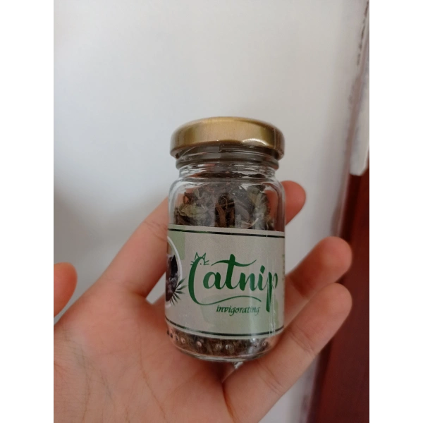 Catnip Doğal Kedi Otu - Kedi Nanesi