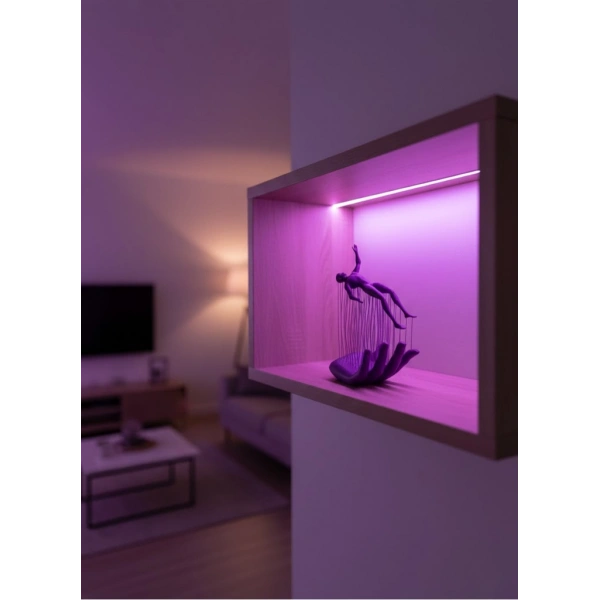 EL İNSAN FİGÜRÜ MOR