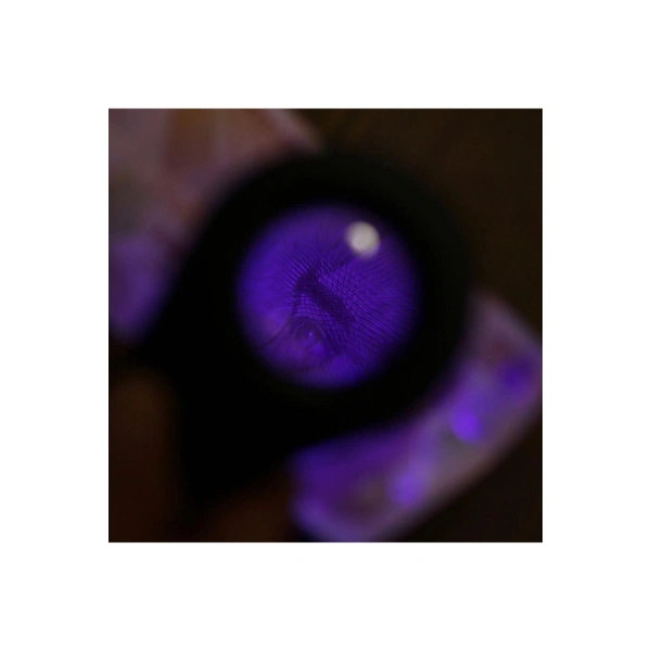 Para Kontrol Işıklı Büyüteçli Fener