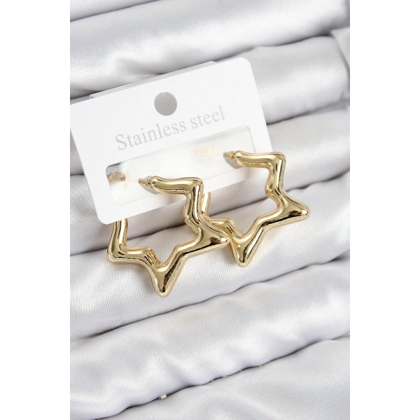 Pirinç Yıldız Model Gold Renk Kadın Küpe