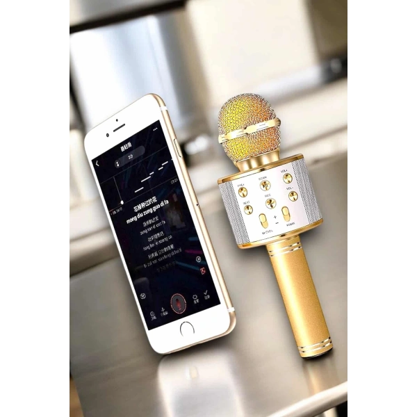 Şarjlı ve Uzun Pil Ömürlü Karaoke Mikrofon USB Bellek Destekli, Profesyonel Ses