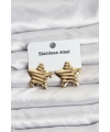 316L Çelik Gold Renk Yıldız Model Kadın Küpe