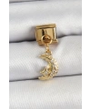316L Çelik Sallantılı Zirkon Taşlı Ay Model Gold Renk Nomination Charm