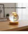 3D Yunus Desenli Kristal Küre Ahşap Tabanlı Işıklı Dekor Objesi