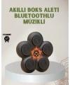 Bluetoothlu Akıllı Boks Antrenman Cihazı Işıklı Hedefli Kardiyo ve Fitness Aleti
