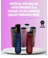LED Sıcaklık Ölçerli 250 ml Yalıtımlı Termos Şişe