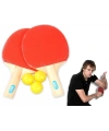 Masa Tenisi Seti (2 Raket + 3 Top)