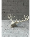 odern Geyik Başı Biblo 25 cm Zarif Masa Üstü Dekor