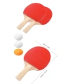 Ping Pong Masa Tenisi Seti Tenis Raketi Seti 2 Raket + 3 Ping Pong Topu  Spor Aksesuarları