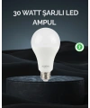 Şarjlı LED Ampul 30 Watt Soğuk Beyaz