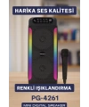 Taşınabilir Şarjlı Hoparlör USB, SD Kart, AUX Girişli